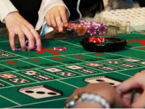 BBIN视讯2024最新版